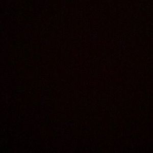 Meet your Posher, Mia